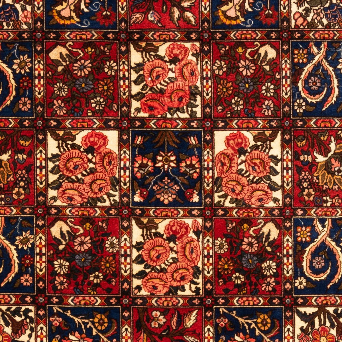 Persisk matta - Nomadic - 260 x 157 cm - flerfärgad