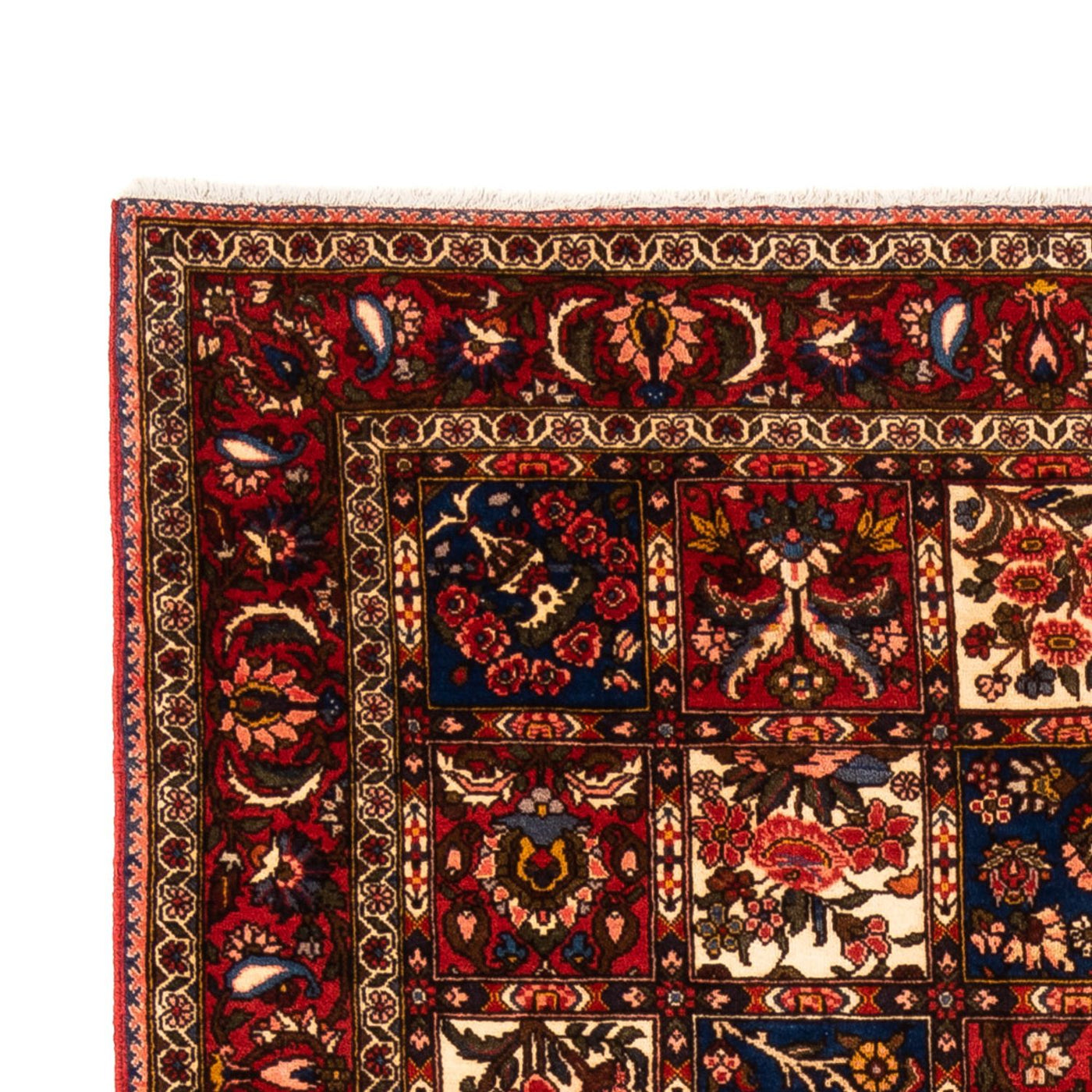 Bakhtiari Mattan 260x157cm - Persisk matta