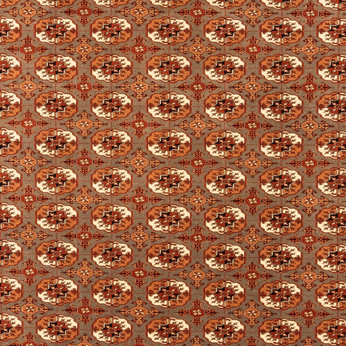 Turkaman-matta - 305 x 205 cm - mörk beige