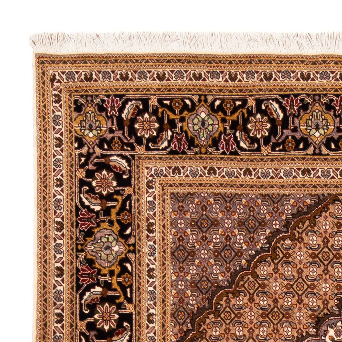 Tabriz - 50 Raj Mattan 256x250cm - Persisk matta