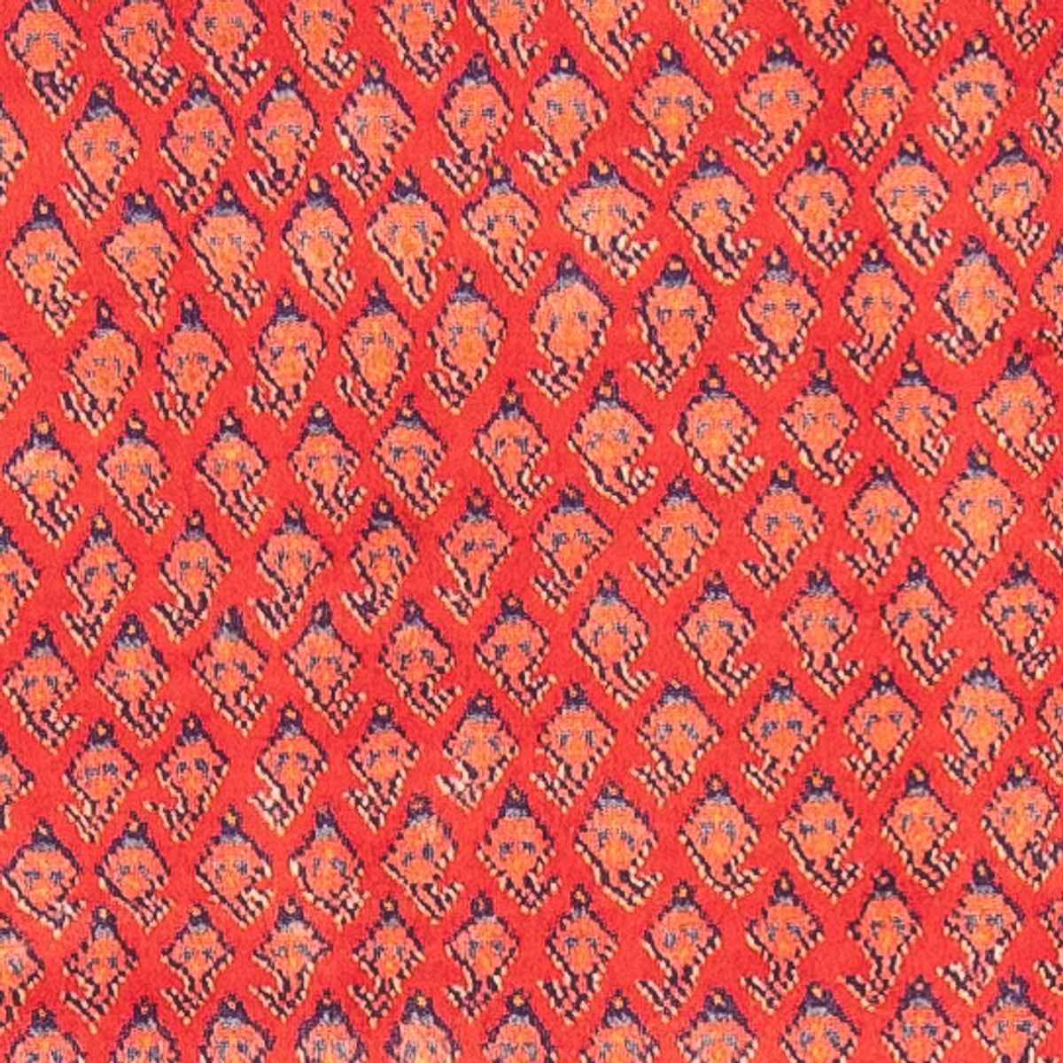 Runner Persisk matta - Nomadic - 323 x 108 cm - röd