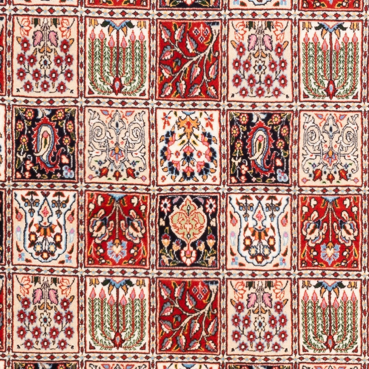 Persisk matta - Classic - 245 x 167 cm - flerfärgad