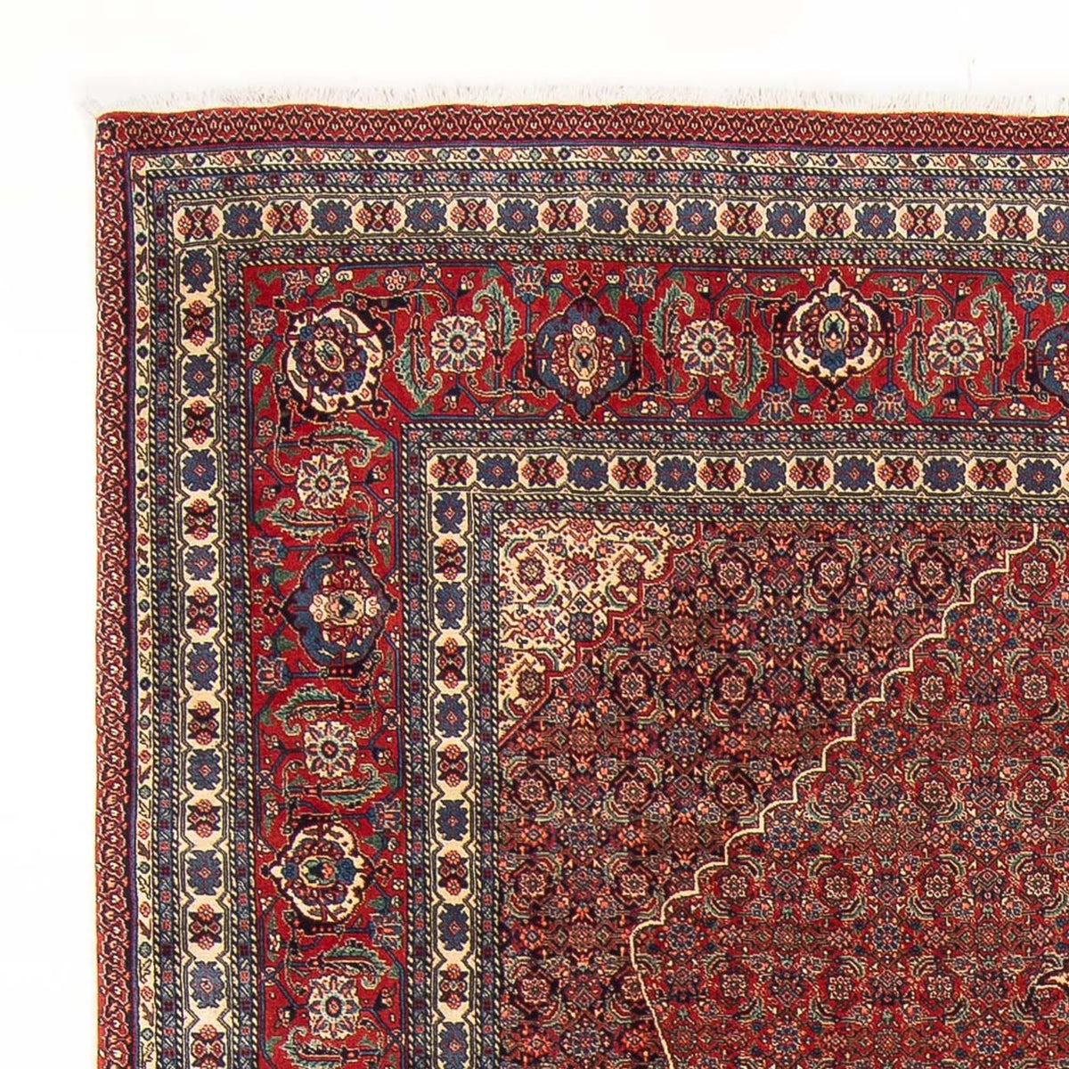 Tabriz - 50 Raj Mattan 202x290cm - Persisk matta