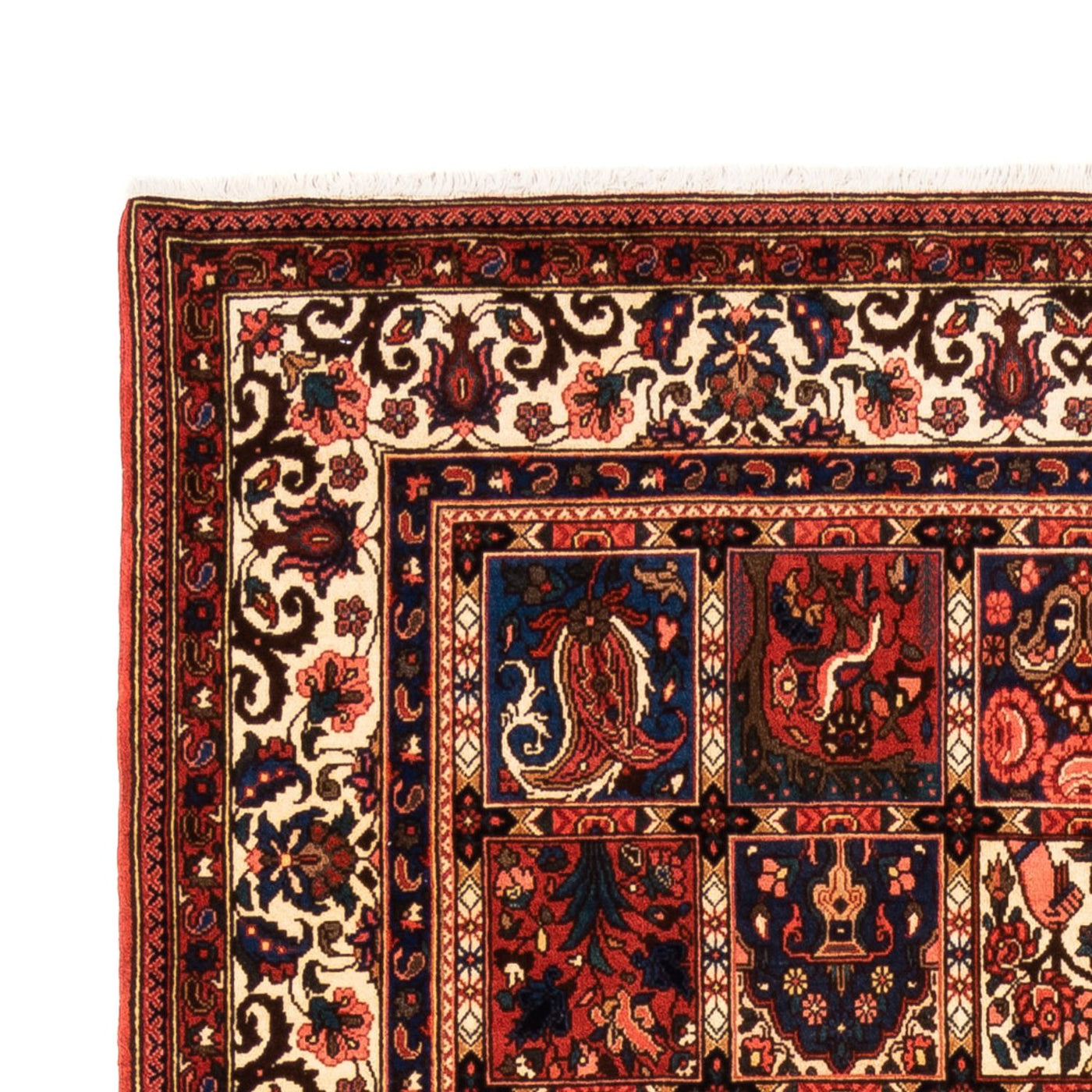 Bakhtiari Mattan 252x157cm - Persisk matta