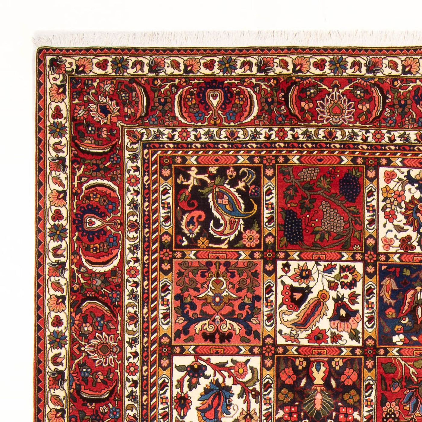 Bakhtiari Mattan 314x210cm - Persisk matta
