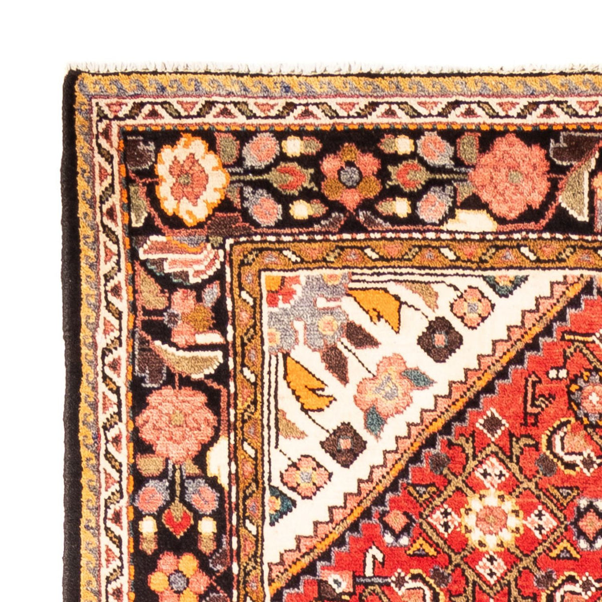 Hosseinabad Mattan 160x315cm - Persisk matta
