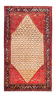 Kolyai Mattan 273x153cm - Persisk matta