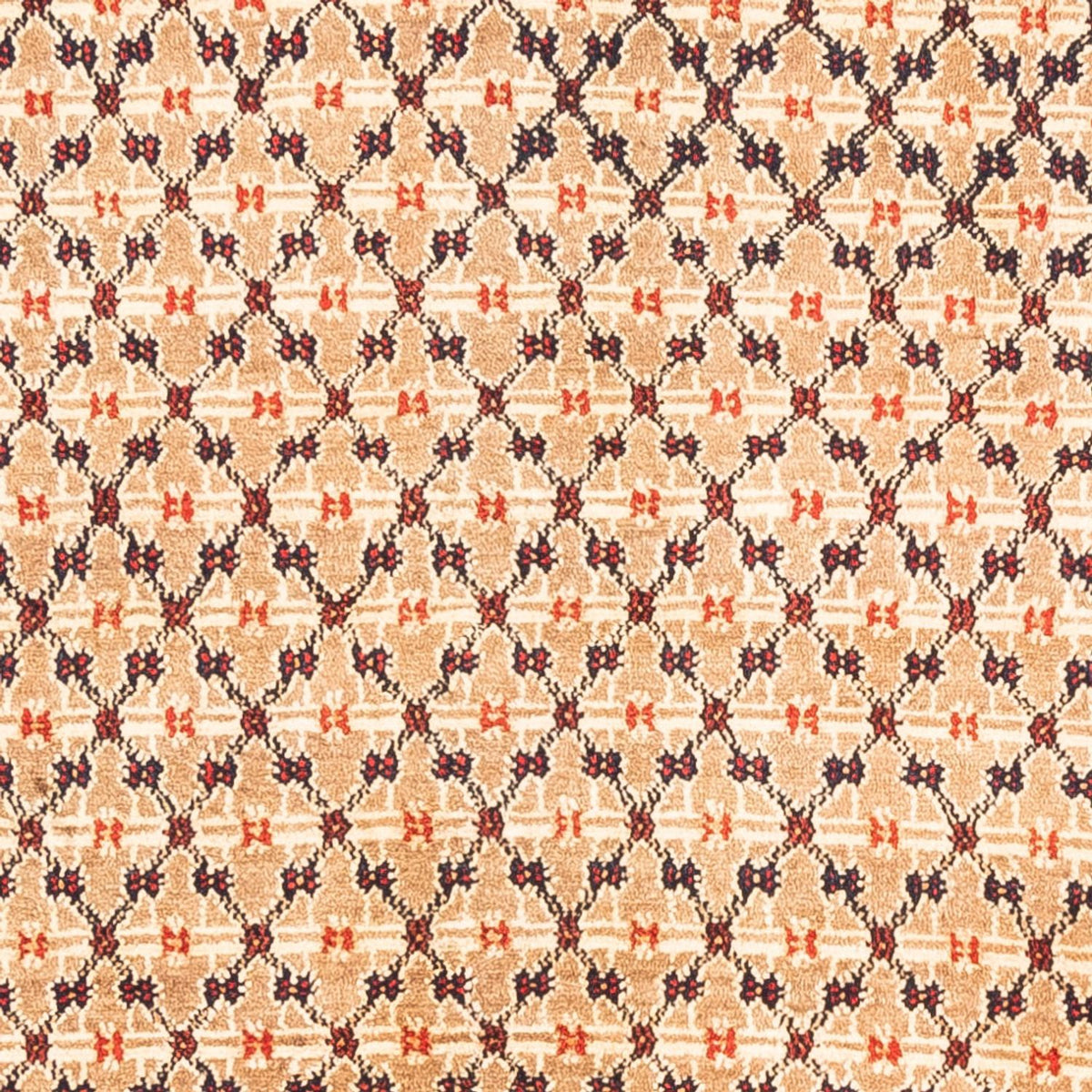 Persisk matta - Nomadic - 273 x 153 cm - grädde