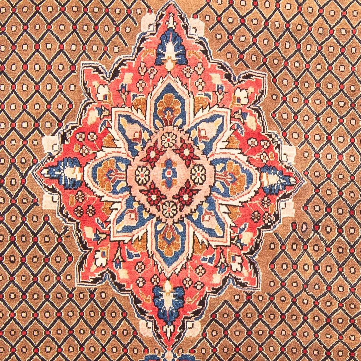 Persisk matta - Nomadic - 285 x 150 cm - flerfärgad