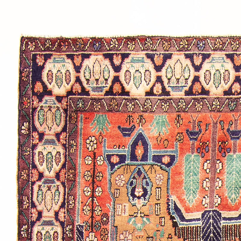 Persisk matta - Nomadic - 295 x 160 cm - flerfärgad