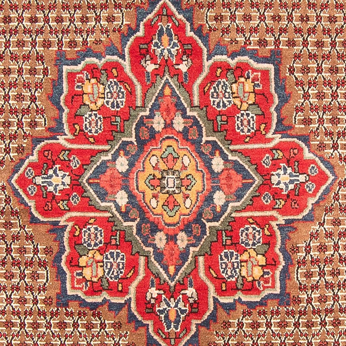 Persisk matta - Nomadic - 285 x 155 cm - flerfärgad