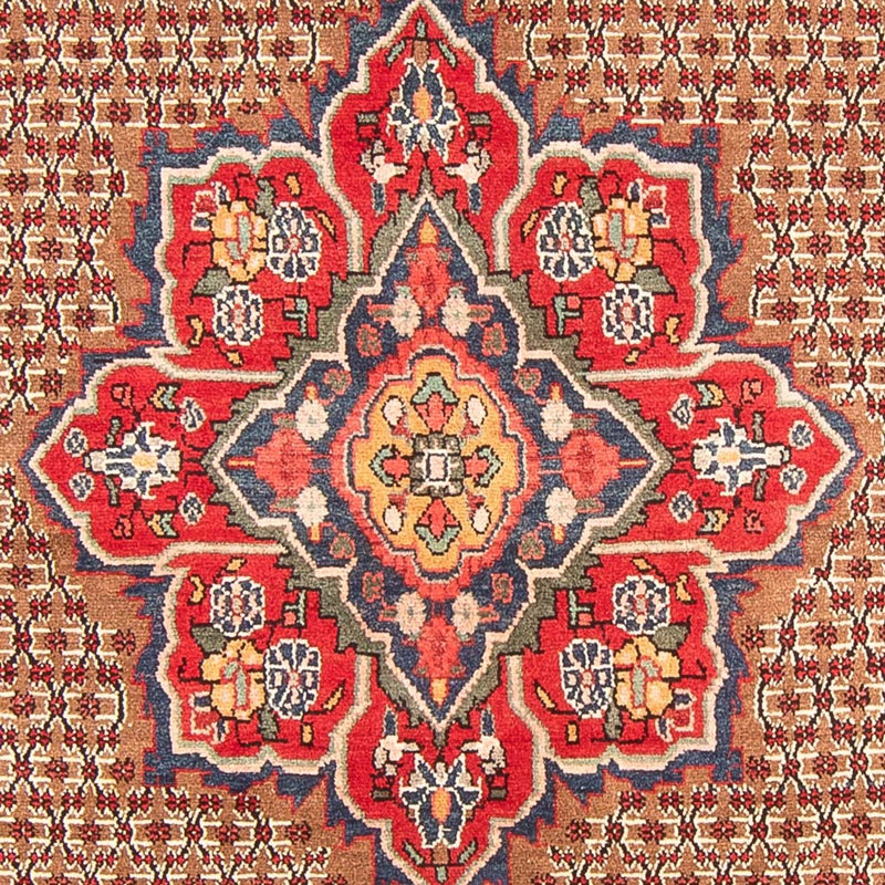 Persisk matta - Nomadic - 285 x 155 cm - flerfärgad