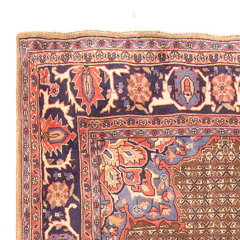 Persisk matta - Nomadic - 295 x 157 cm - flerfärgad