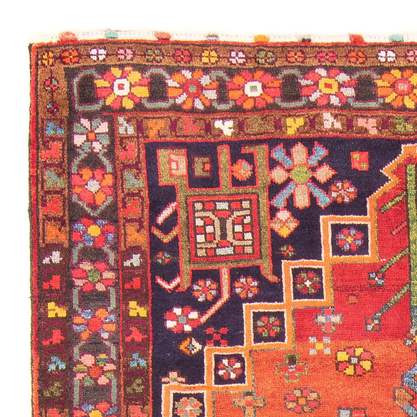 Gholtogh Mattan 310x165cm - Persisk matta