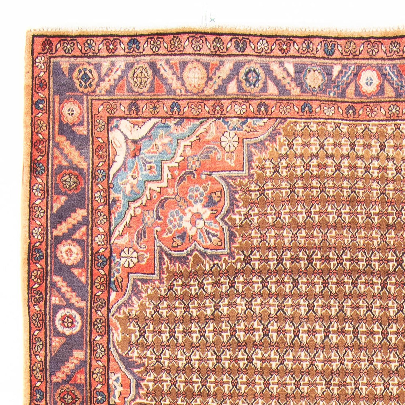 Persisk matta - Nomadic - 310 x 155 cm - flerfärgad