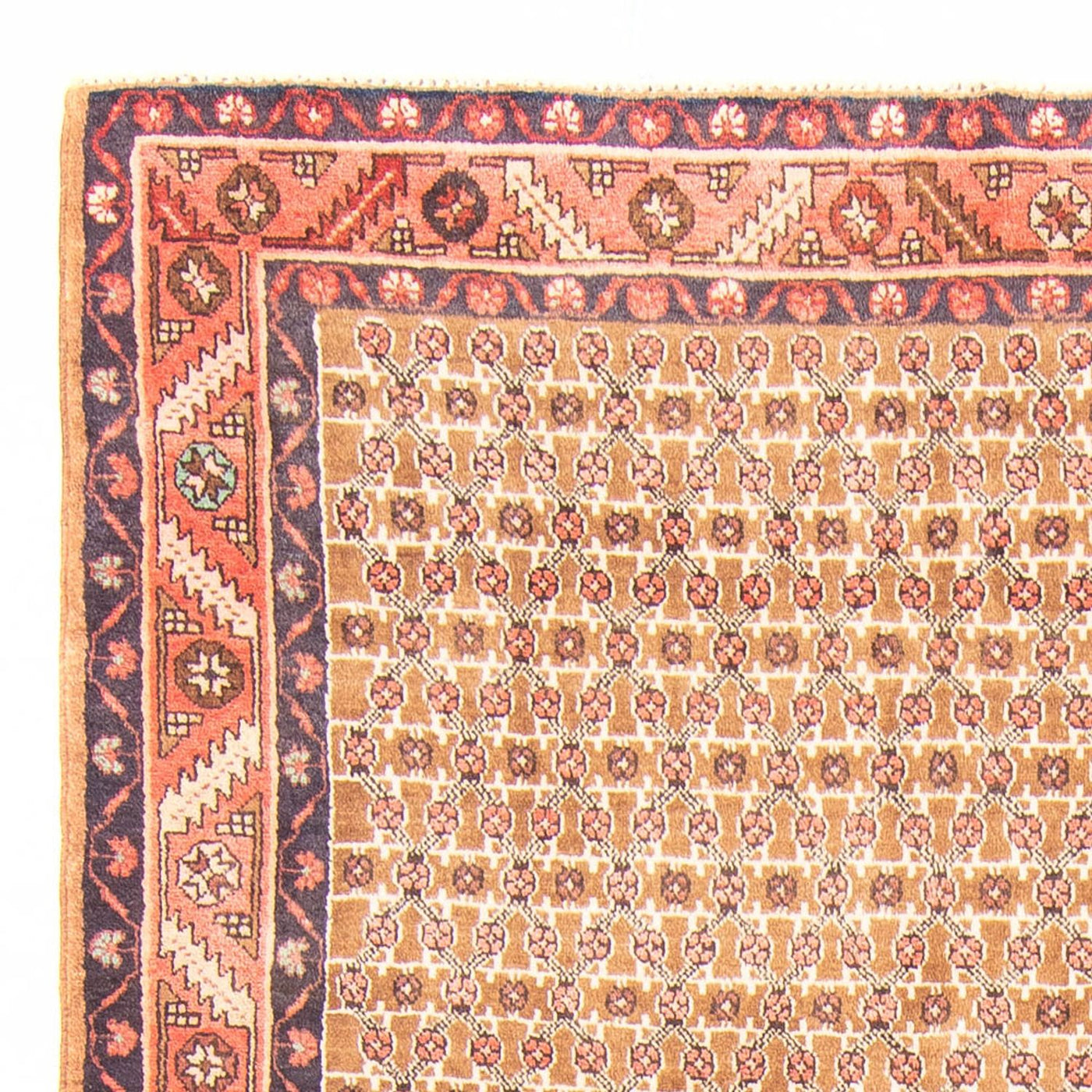 Kolyai Mattan 343x146cm - Persisk matta