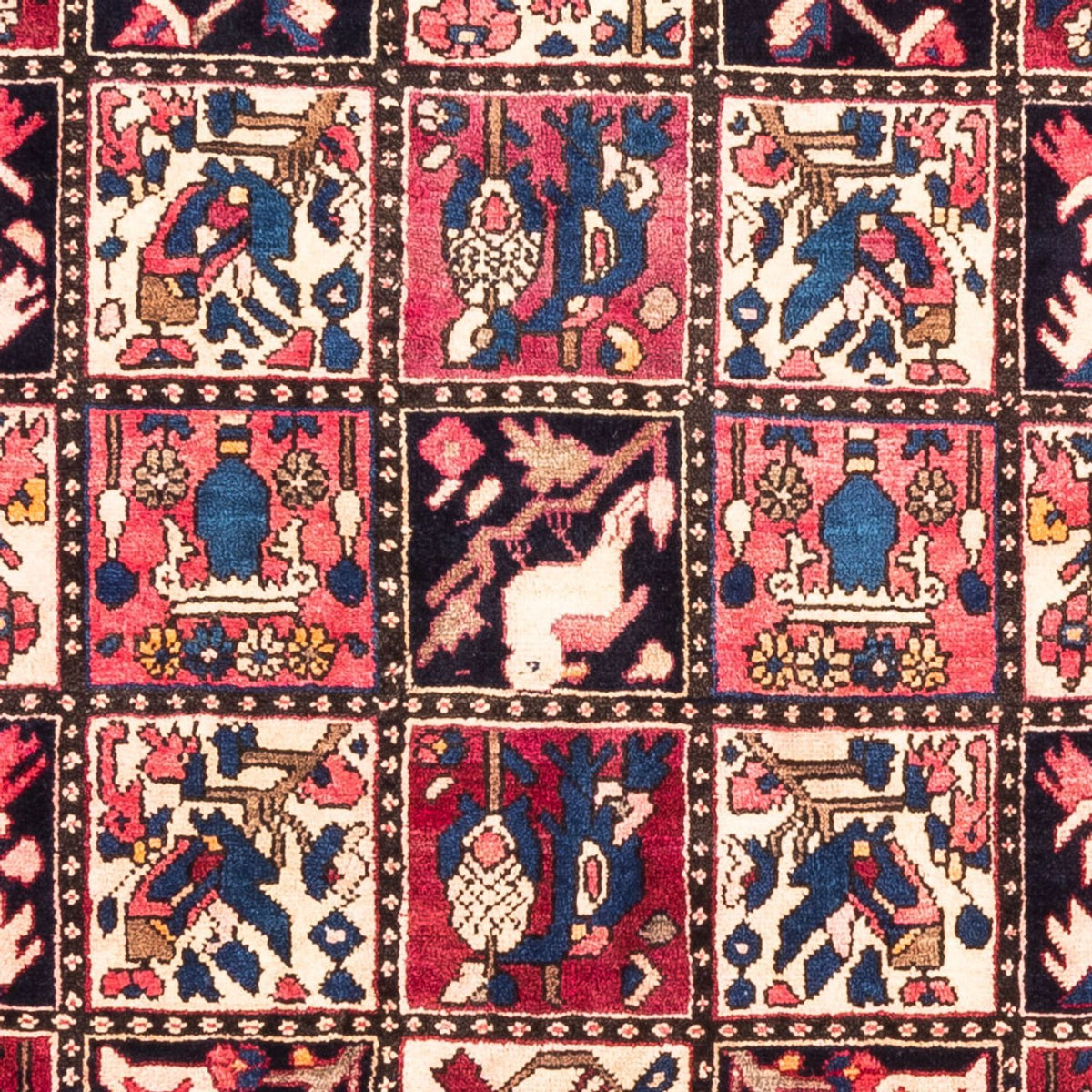 Persisk matta - Nomadic - 300 x 160 cm - flerfärgad