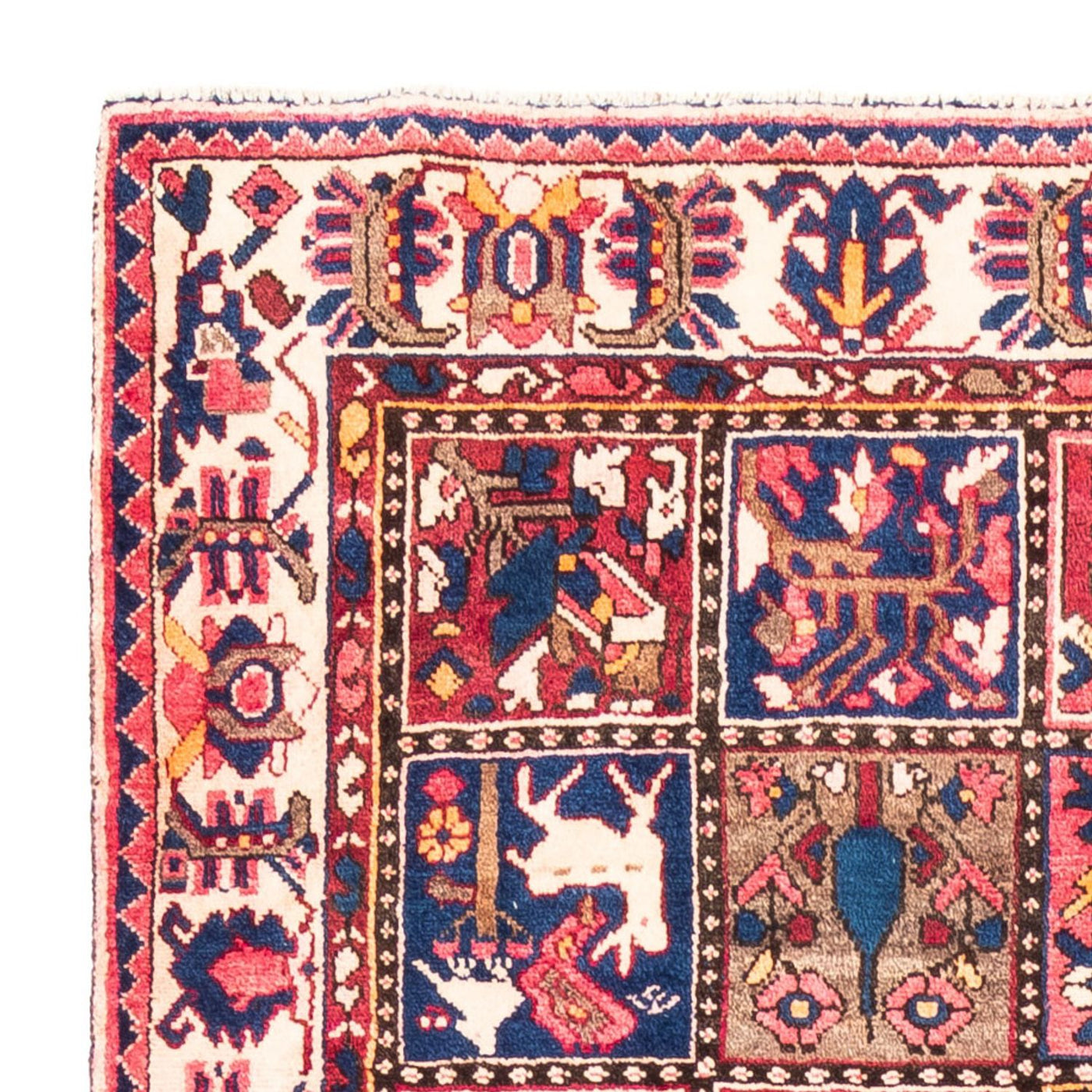 Bakhtiari Mattan 300x160cm - Persisk matta