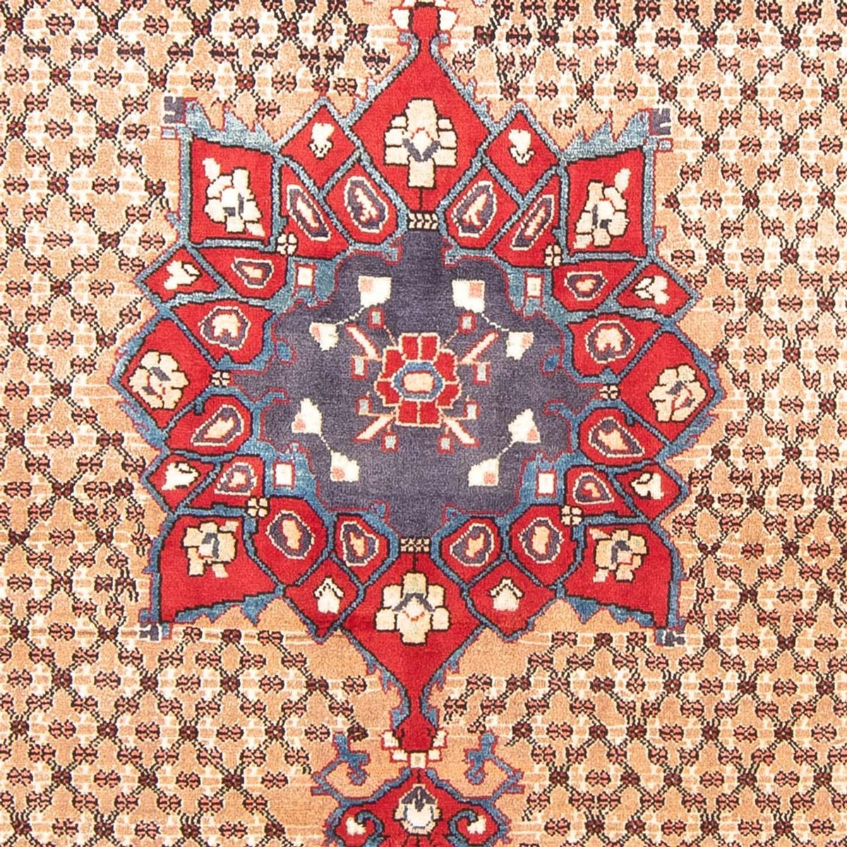 Persisk matta - Nomadic - 290 x 150 cm - flerfärgad