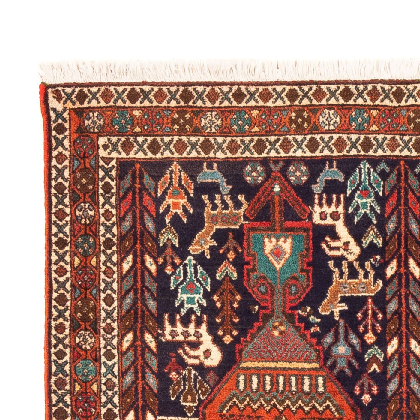 Afshar Sirjan Mattan 165x103cm - Persisk matta