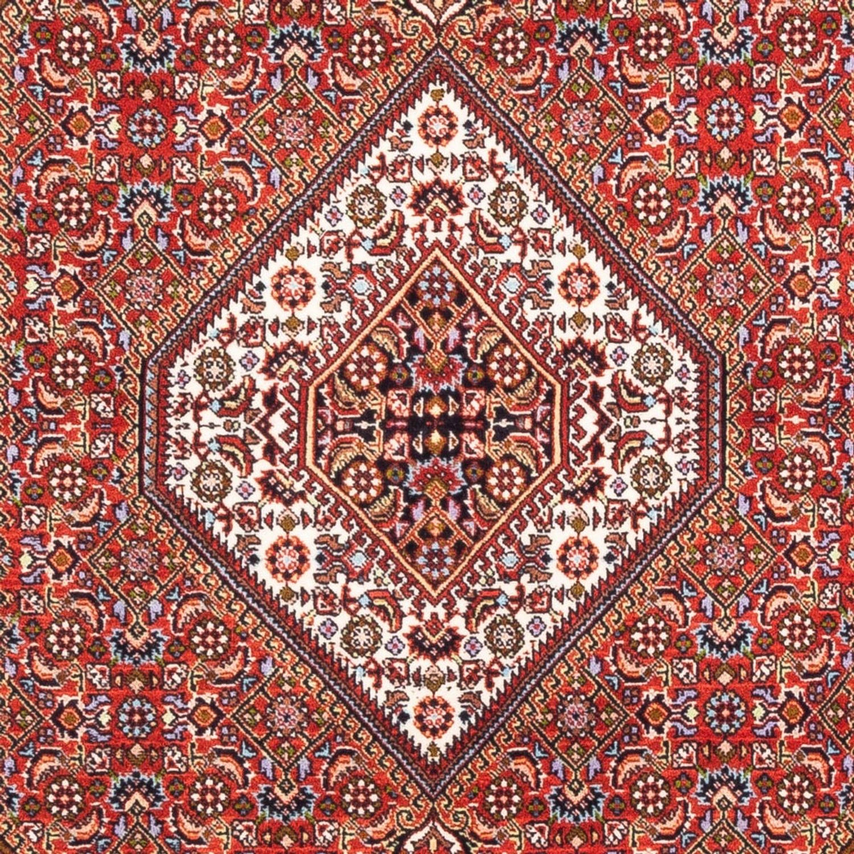 Persisk matta - Bijar - Royal - 176 x 108 cm - röd