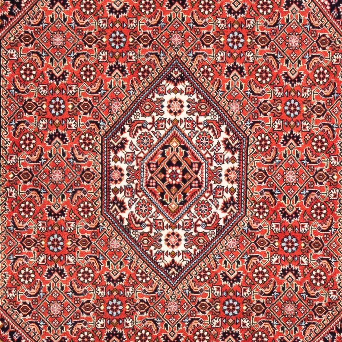 Persisk matta - Bijar - Royal - 166 x 110 cm - röd