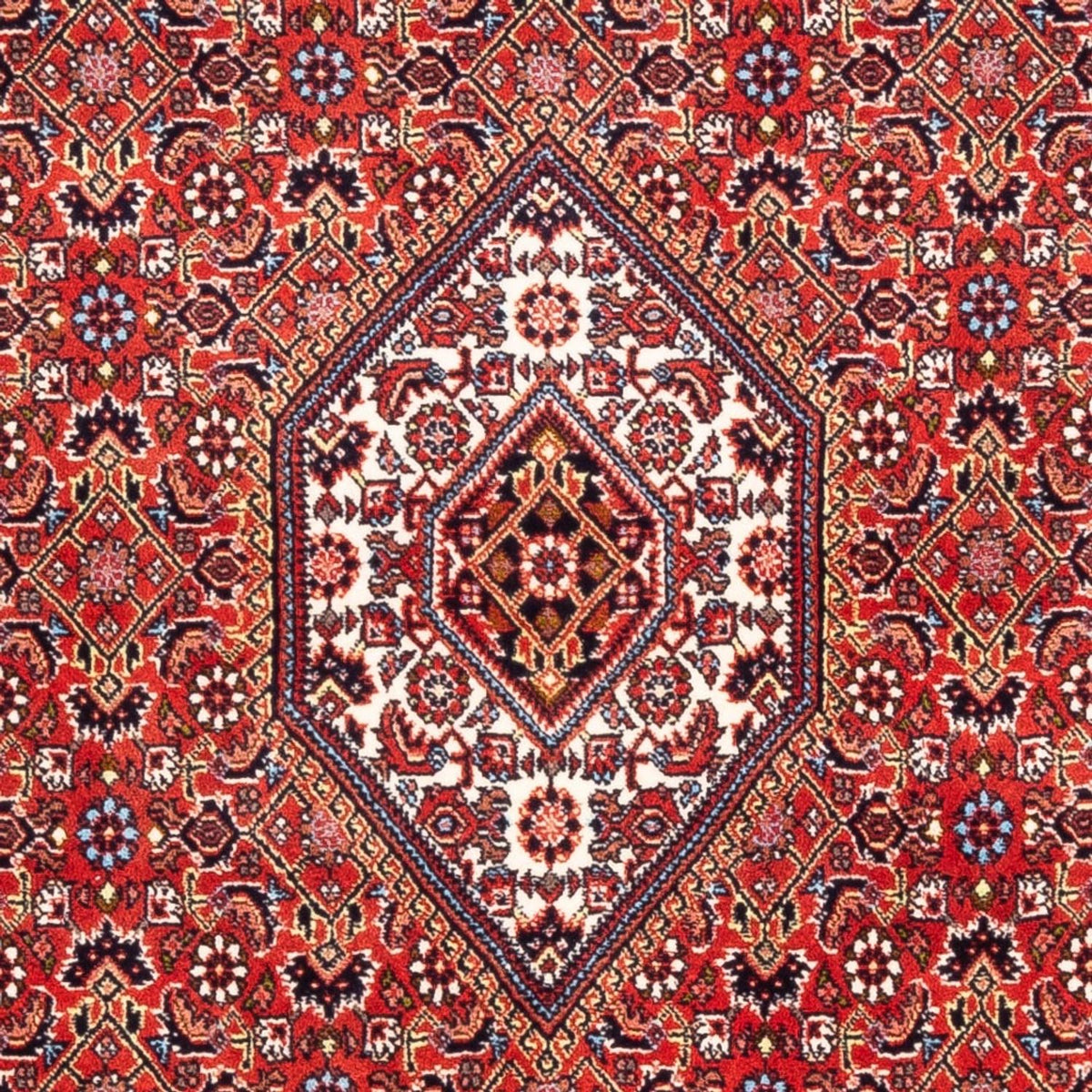 Persisk matta - Bijar - Royal - 174 x 108 cm - röd