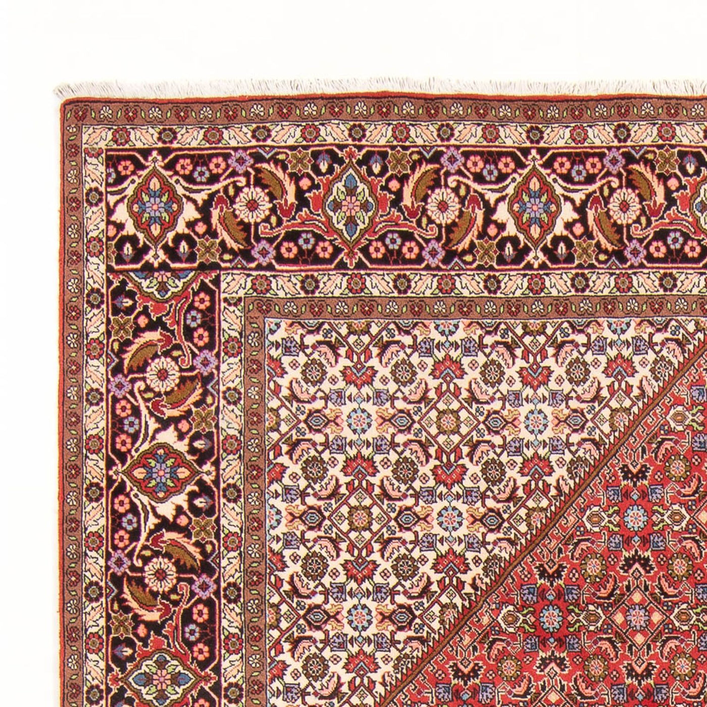 Bidjar - Bukan Mattan 294x200cm - Persisk matta