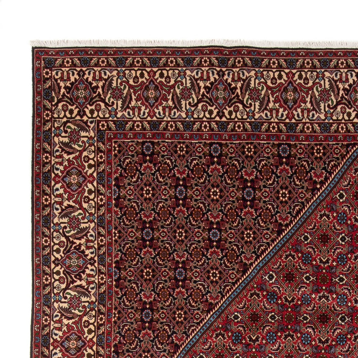 Bidjar - Bukan Mattan 342x252cm - Persisk matta