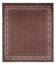 Persisk matta - Bijar - Royal - 300 x 248 cm - mörkblå