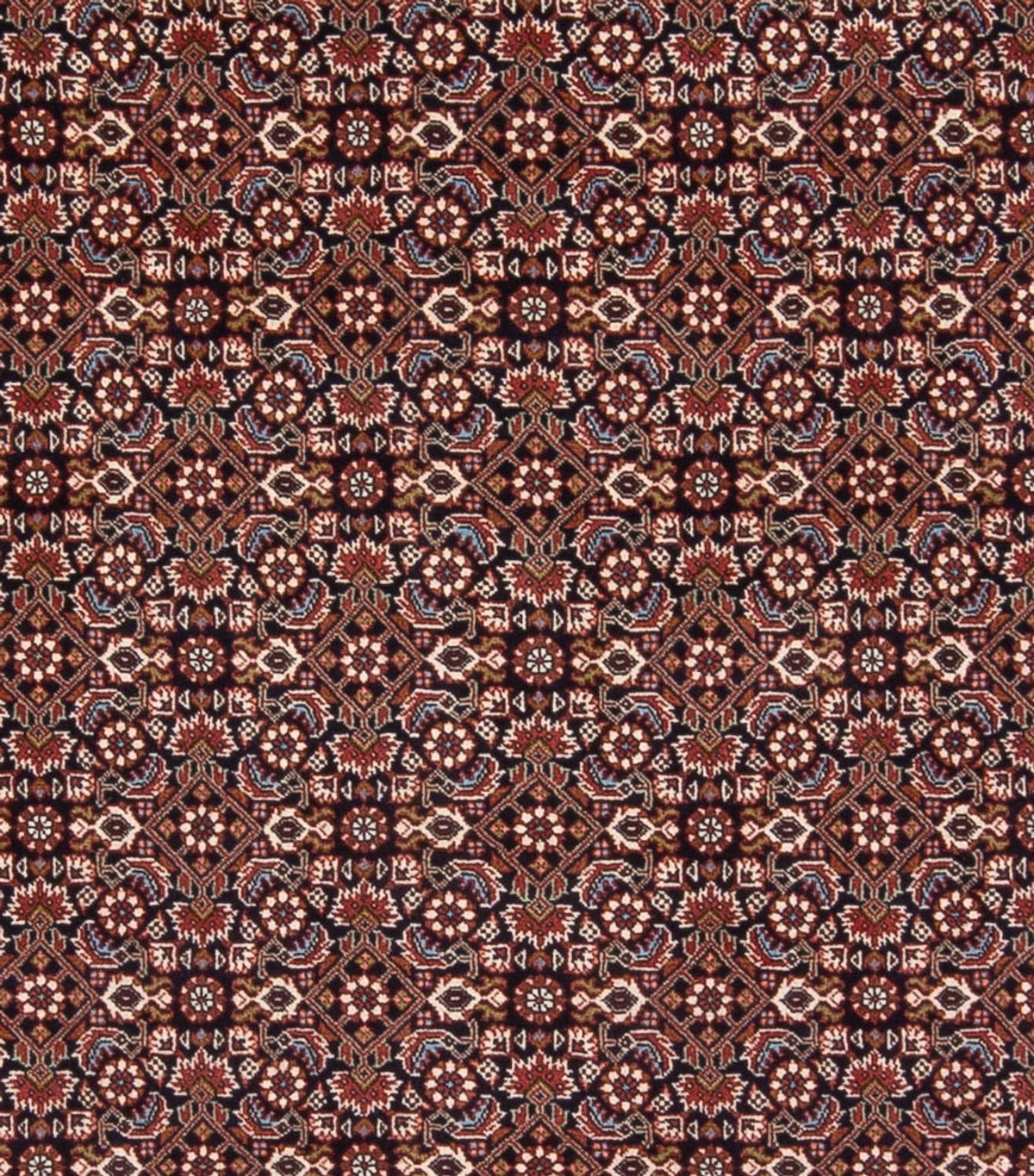 Persisk matta - Bijar - Royal - 300 x 248 cm - mörkblå