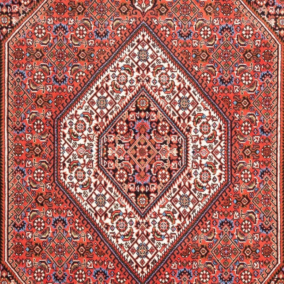 Persisk matta - Bijar - Royal - 186 x 112 cm - röd