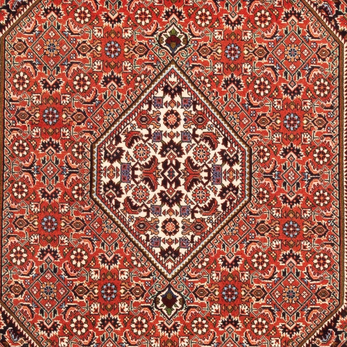 Persisk matta - Bijar - Royal - 169 x 113 cm - röd