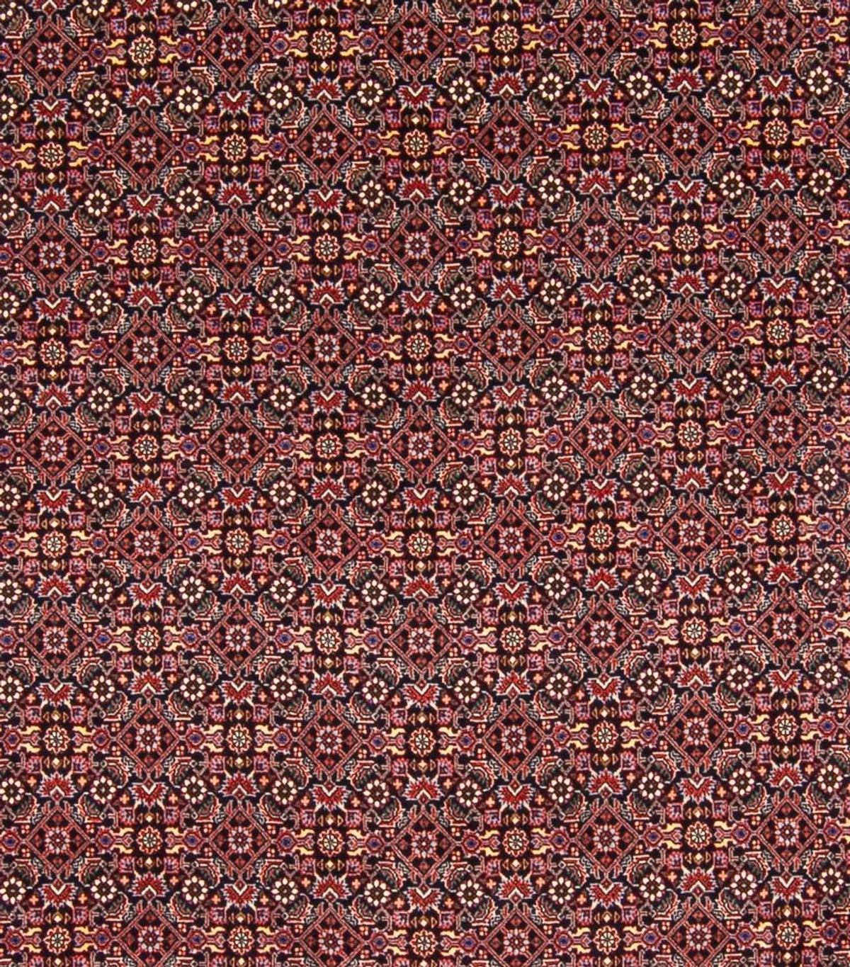 Persisk matta - Bijar - Royal - 337 x 260 cm - mörkblå