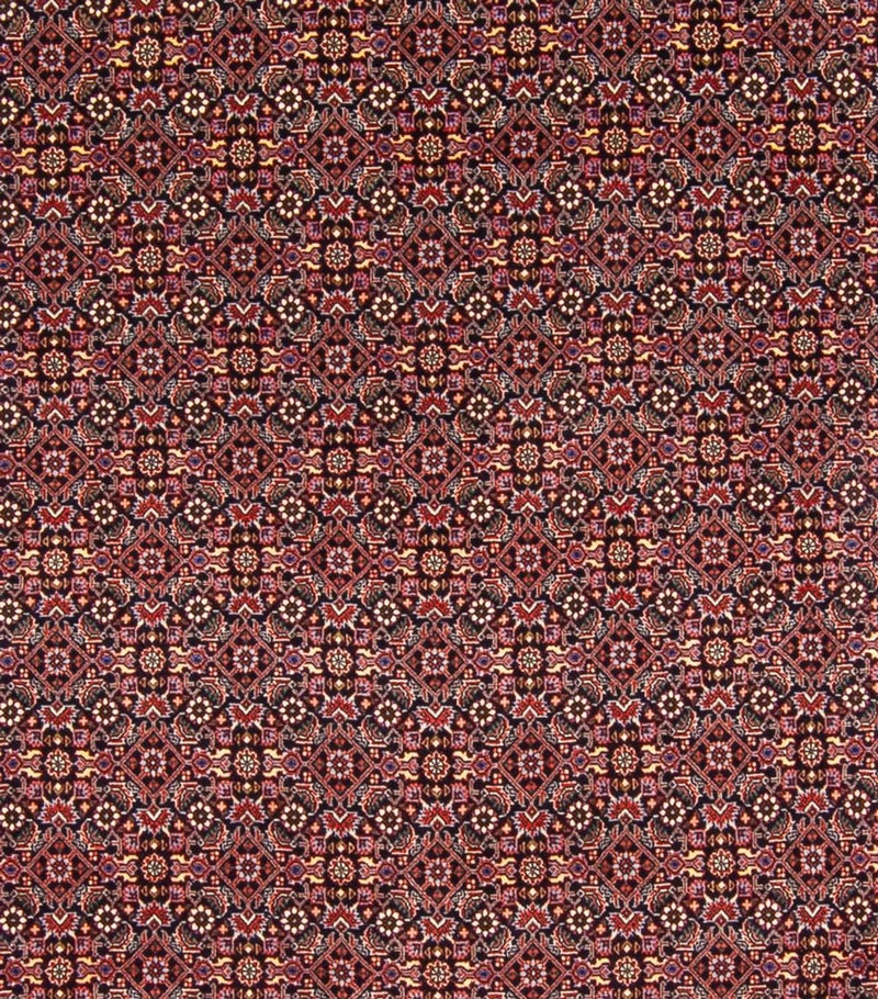 Persisk matta - Bijar - Royal - 337 x 260 cm - mörkblå