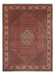 Bidjar - Bukan Mattan 340x250cm - Persisk matta