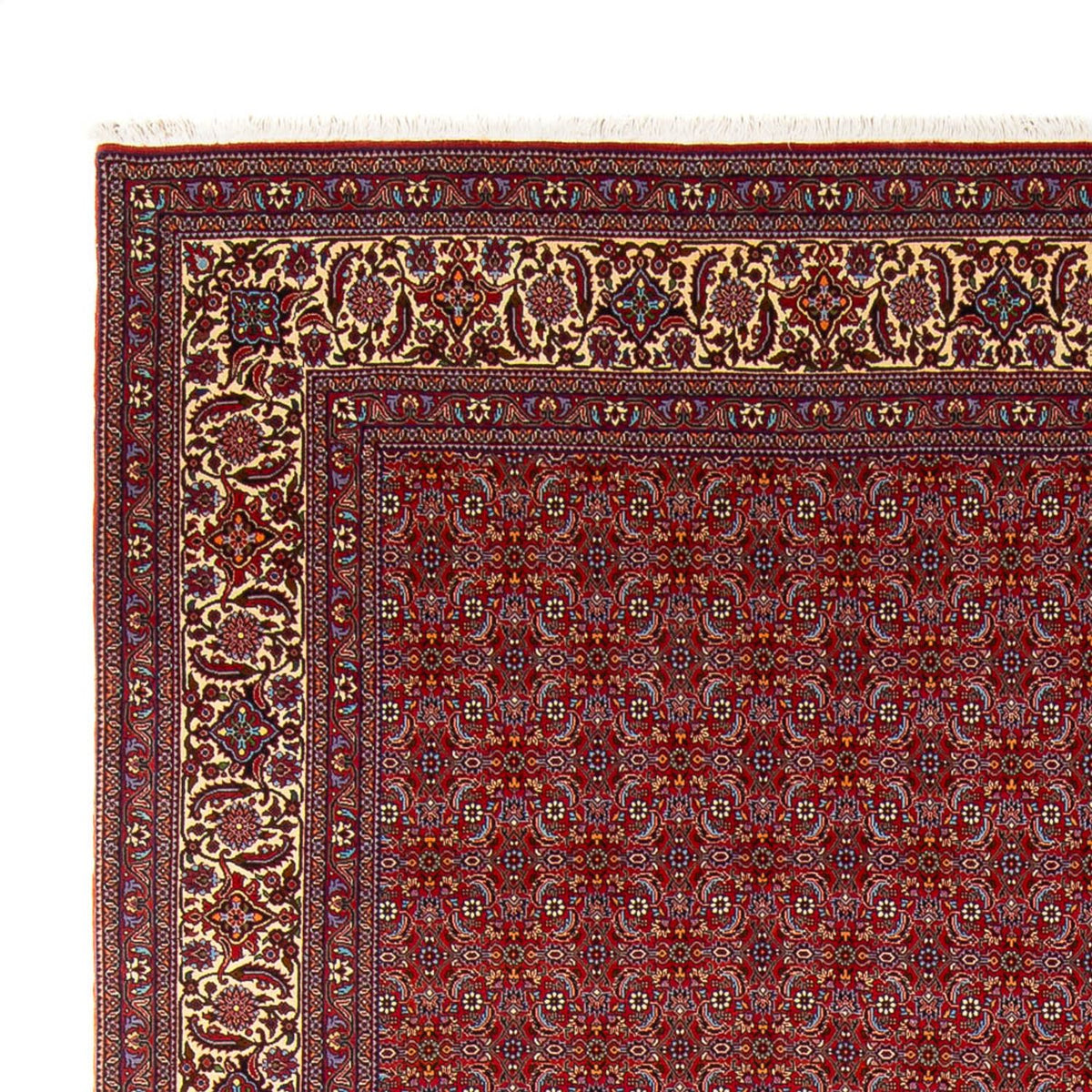 Bidjar - Takab Mattan 254x347cm - Persisk matta