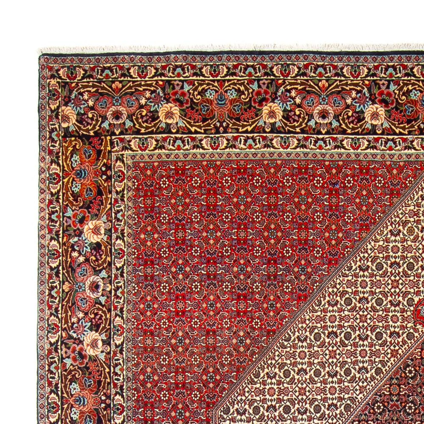 Bidjar - Takab Mattan 300x253cm - Persisk matta