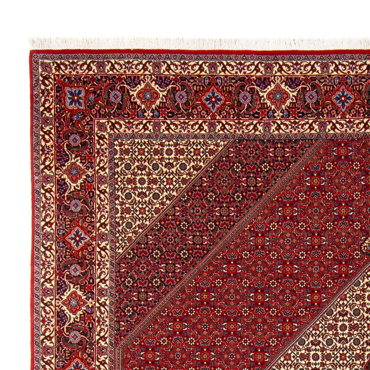 Bidjar - Takab Mattan 253x301cm - Persisk matta