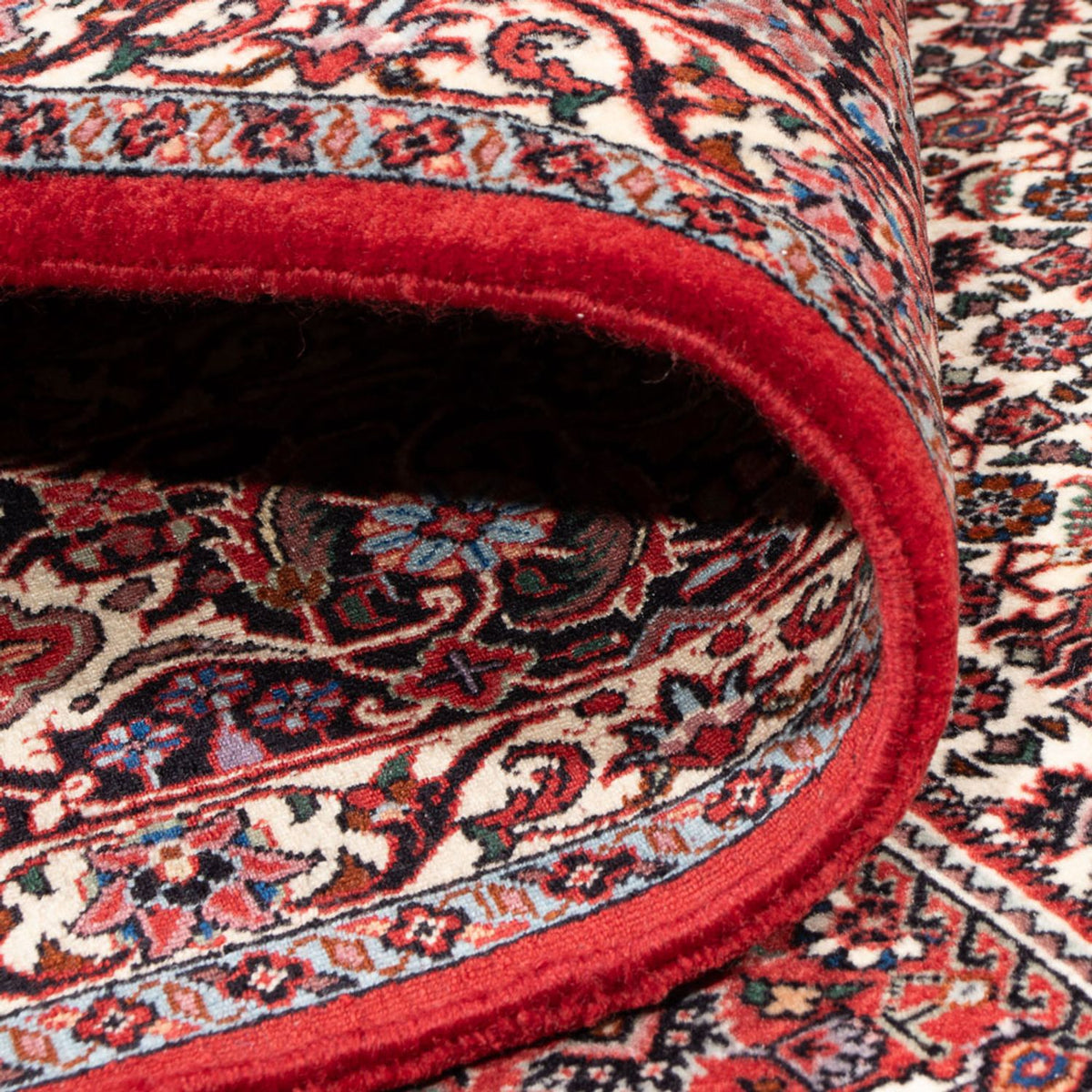 Persisk matta - Bijar - Royal - 301 x 253 cm - grädde