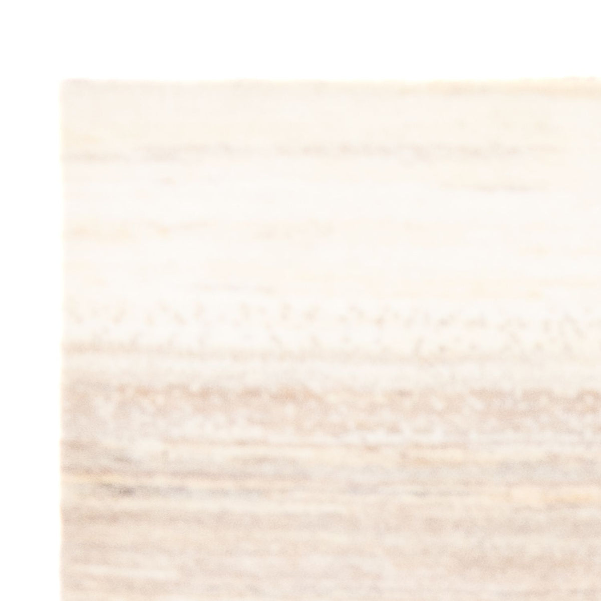 Gabbeh-matta - persisk - 152 x 100 cm - flerfärgad