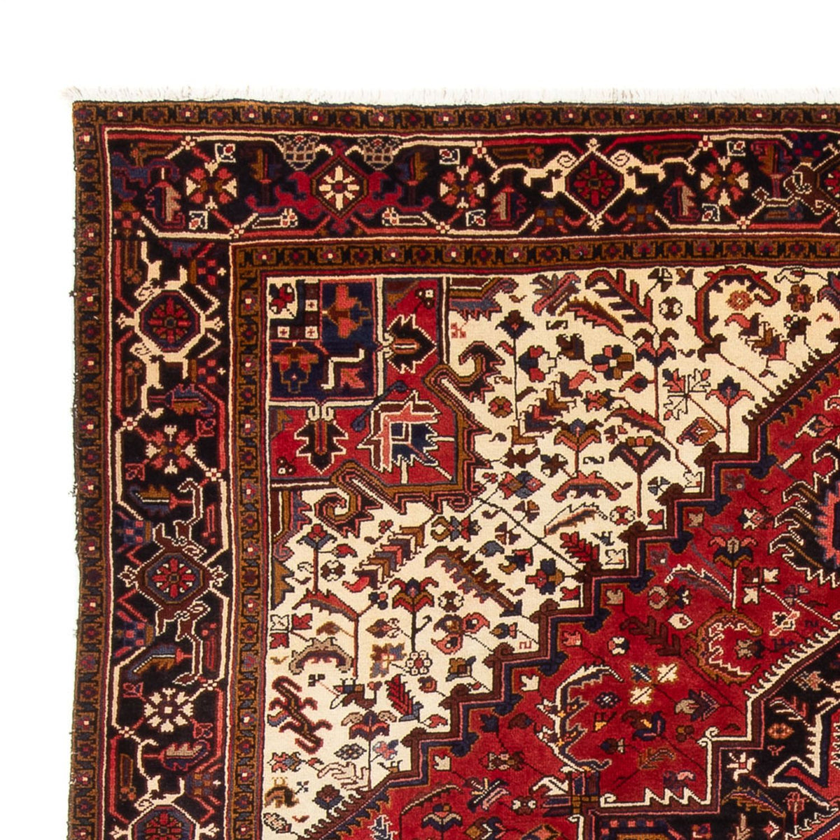 Persisk matta - Nomadic - 339 x 243 cm - grädde