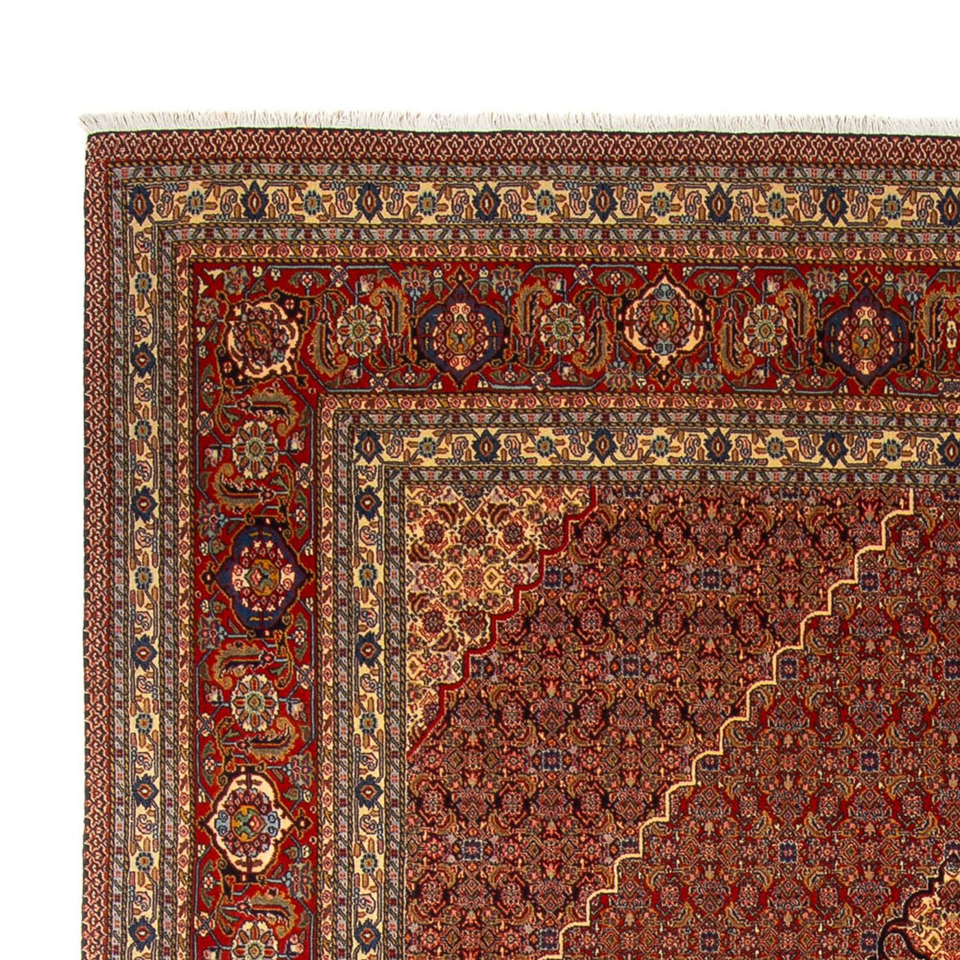 Persisk matta - Nomadic - 358 x 265 cm - rost