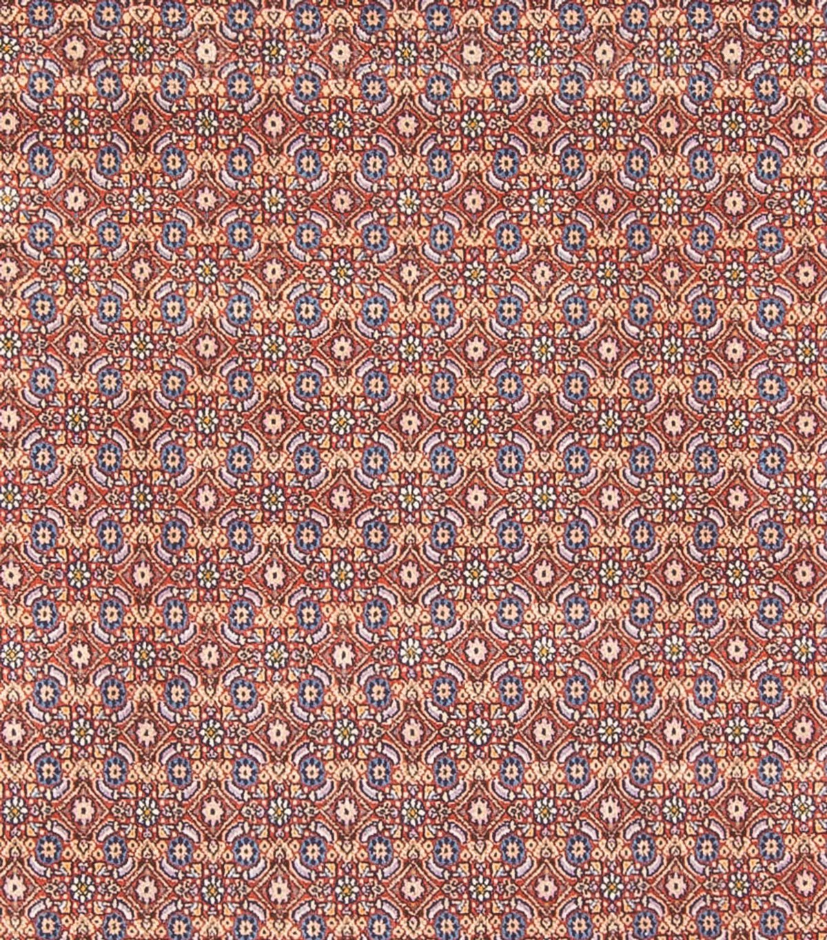 Persisk matta - Classic - 294 x 243 cm - mörkblå