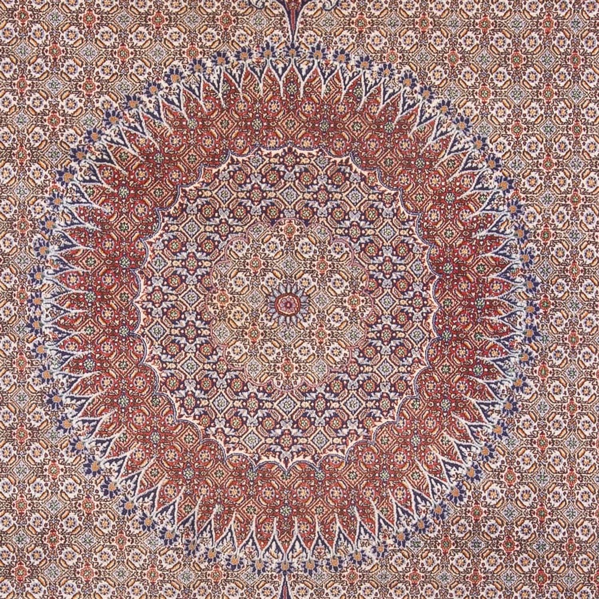 Persisk matta - Classic - 388 x 293 cm - mörk beige