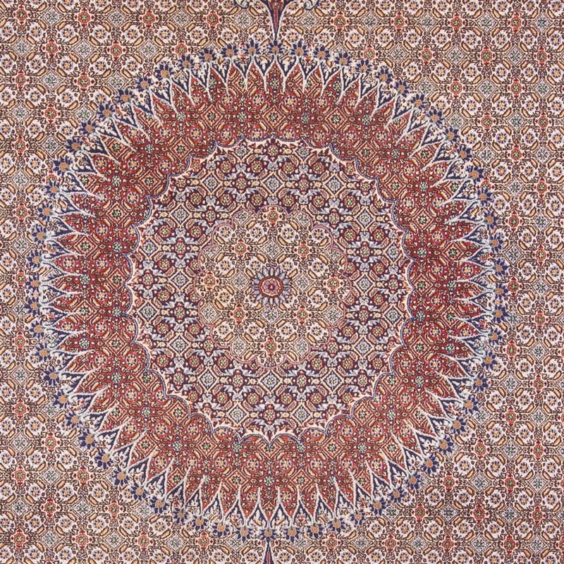 Persisk matta - Classic - 388 x 293 cm - mörk beige