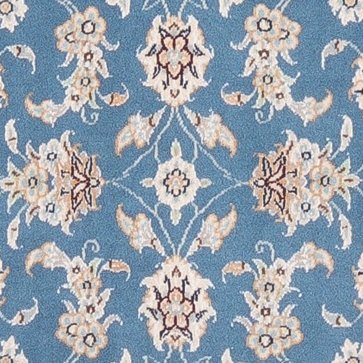 Runner Persisk matta - Nain - Premium - 248 x 81 cm - blå