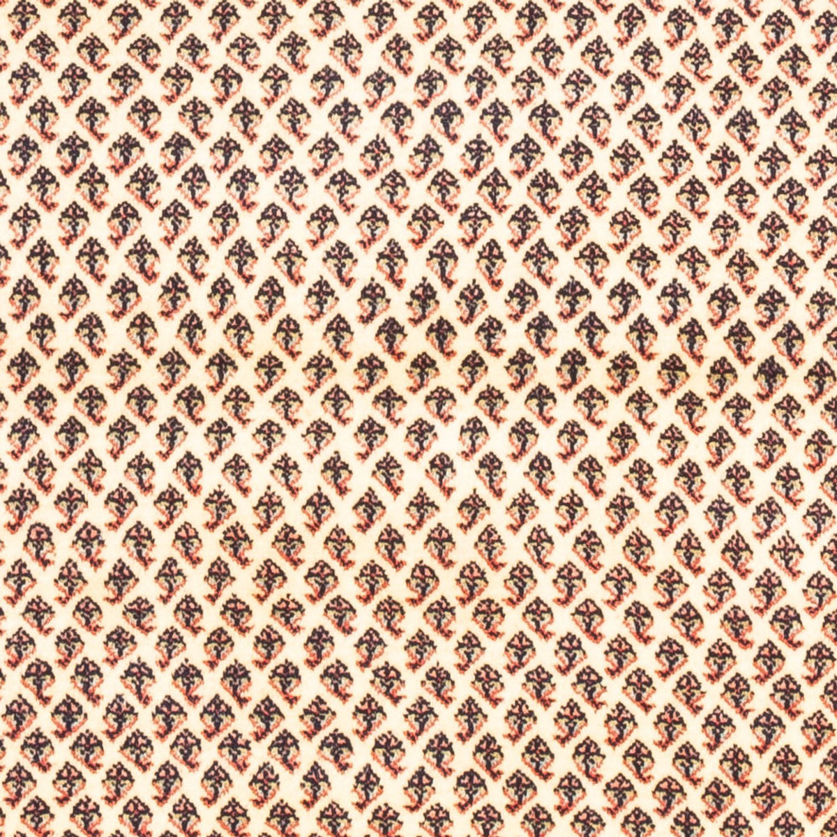 Persisk matta - Mir - 160 x 107 cm - grädde