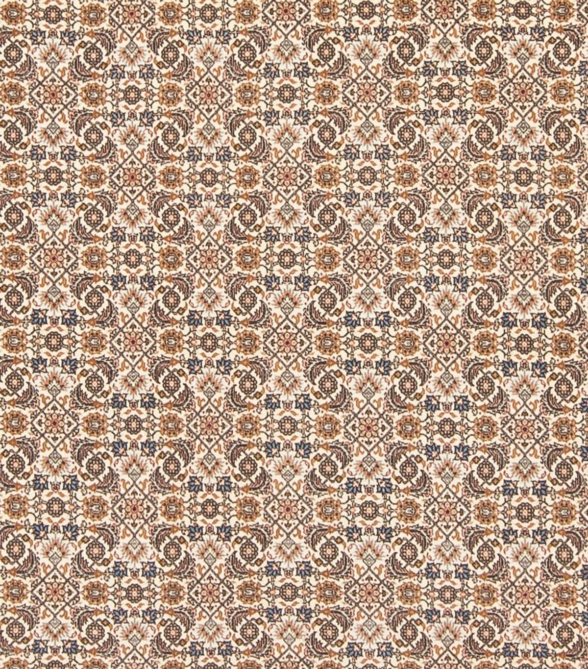 Persisk matta - Tabriz - Royal - 290 x 253 cm - mörk beige