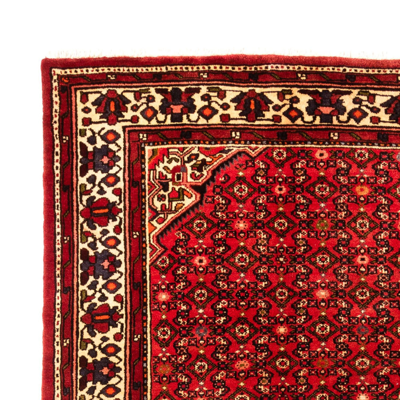 Kolyai Mattan 307x210cm - Persisk matta